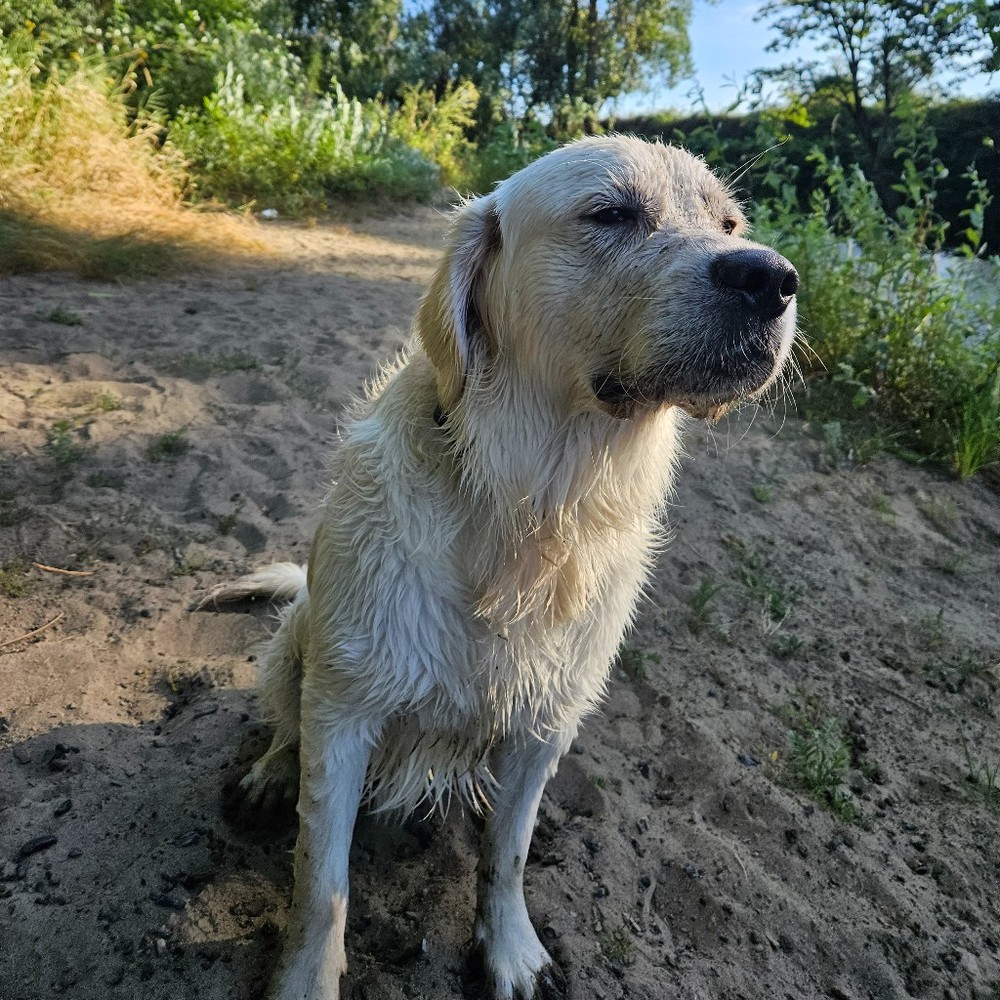 Meet your Posher, Chelsea